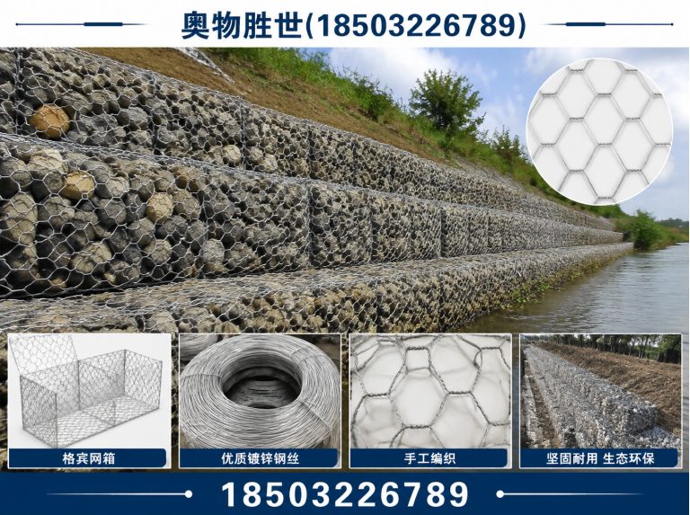 聊城格宾网展示图